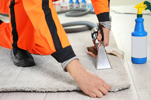 Carpet Cleaning