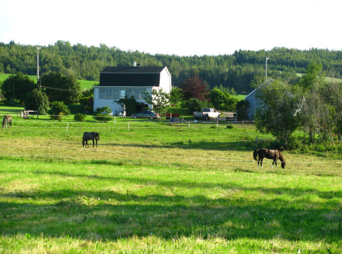 Gîte de Coaticook situé sur un ranch